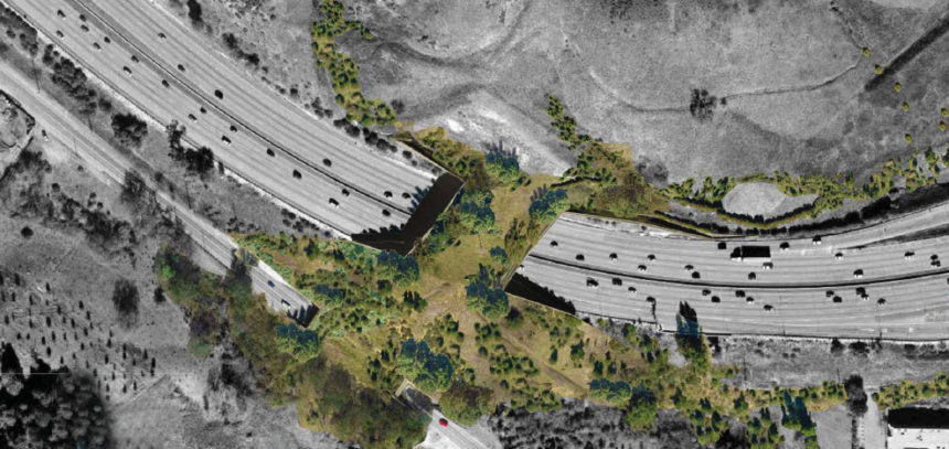 The Guardian | Los Angeles to build world’s largest wildlife bridge across 10-lane freeway
